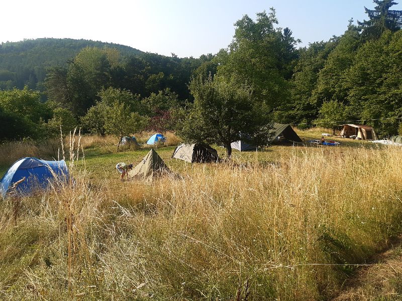 Waldtage - Campen im Freien